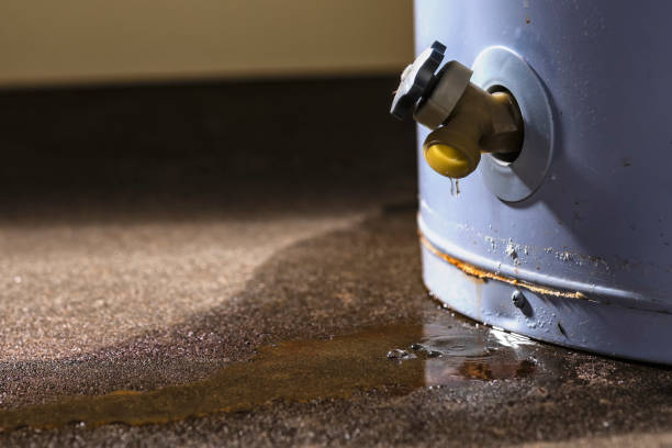 Best Mold removal after water damage  in Cocoa Beach, FL