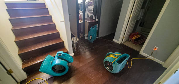Best Basement water damage restoration  in Cocoa Beach, FL