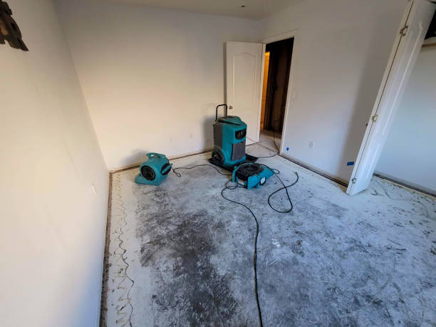 Best Water damage contractors near me  in Cocoa Beach, FL