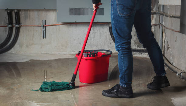 Best Local water damage restoration  in Cocoa Beach, FL