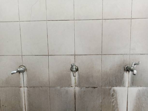 Best Water damage restoration process  in Cocoa Beach, FL