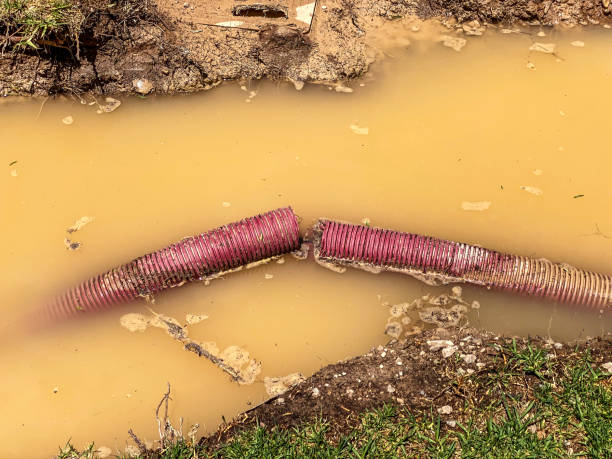 Best Flood damage cleanup  in Cocoa Beach, FL