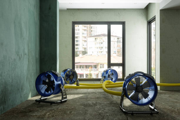 Best Professional water damage repair  in Cocoa Beach, FL